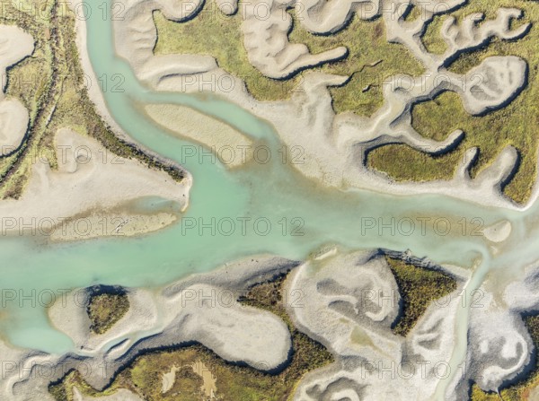 Network of channels and streams at low tide. In the marshland of the Bahía de Cádiz Nature Reserve. Aerial view. Drone shot. Cádiz province, Andalusia, Spain