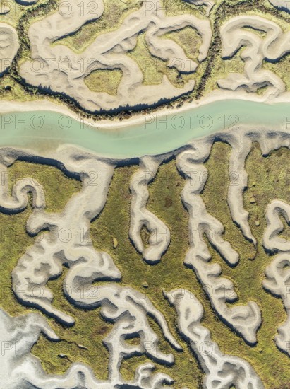 Network of channels and streams at low tide. In the marshland of the Bahía de Cádiz Nature Reserve. Aerial view. Drone shot. Cádiz province, Andalusia, Spain