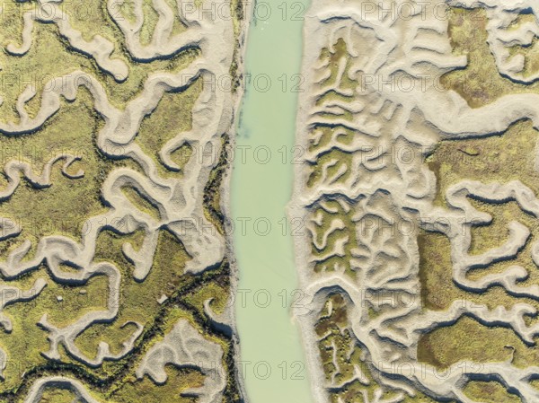 Network of channels and streams at low tide. In the marshland of the Bahía de Cádiz Nature Reserve. Aerial view. Drone shot. Cádiz province, Andalusia, Spain