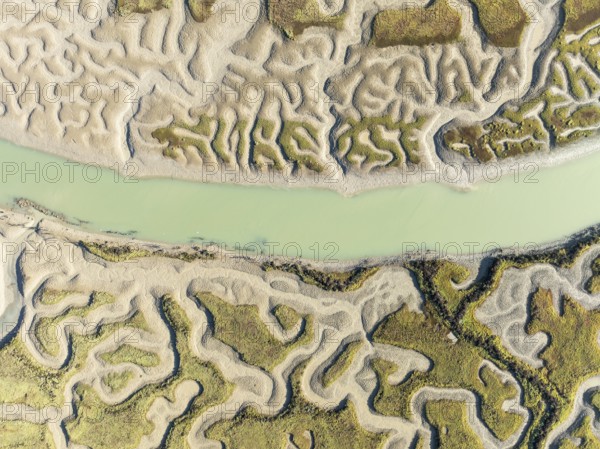 Network of channels and streams at low tide. In the marshland of the Bahía de Cádiz Nature Reserve. Aerial view. Drone shot. Cádiz province, Andalusia, Spain