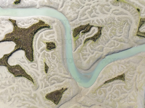 Network of channels and streams at low tide. In the marshland of the Bahía de Cádiz Nature Reserve. Aerial view. Drone shot. Cádiz province, Andalusia, Spain