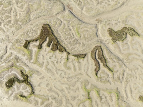 Network of dry channels and streams at low tide. In the marshland of the Bahía de Cádiz Nature Reserve. Aerial view. Drone shot. Cádiz province, Andalusia, Spain