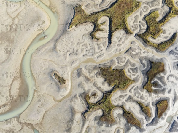 Network of channels and streams at low tide. In the marshland of the Bahía de Cádiz Nature Reserve. Aerial view. Drone shot. Cádiz province, Andalusia, Spain