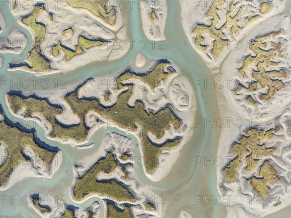 Network of channels and streams at low tide. In the marshland of the Bahía de Cádiz Nature Reserve. Aerial view. Drone shot. Cádiz province, Andalusia, Spain