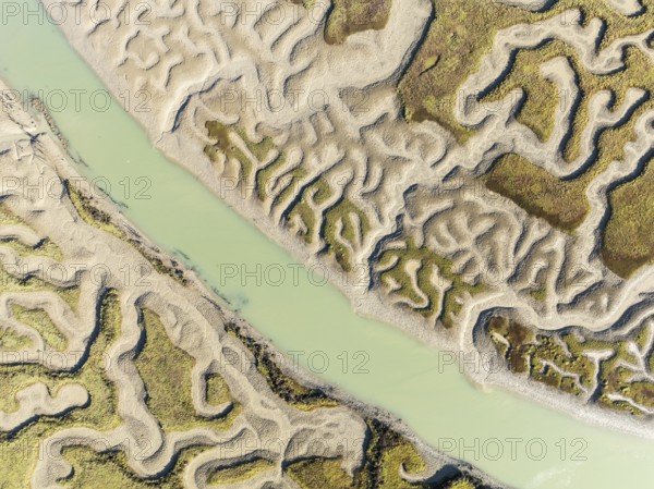 Network of channels and streams at low tide. In the marshland of the Bahía de Cádiz Nature Reserve. Aerial view. Drone shot. Cádiz province, Andalusia, Spain