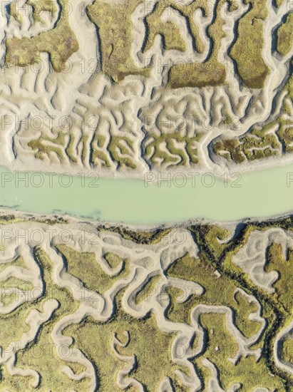 Network of channels and streams at low tide. In the marshland of the Bahía de Cádiz Nature Reserve. Aerial view. Drone shot. Cádiz province, Andalusia, Spain