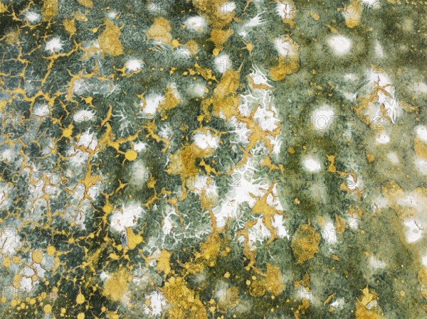 Abstract patterns in the shallow water of a saline pond in the marshland of the Bahía de Cádiz Nature Reserve. Aerial view. Drone shot. Cádiz province, Andalusia, Spain