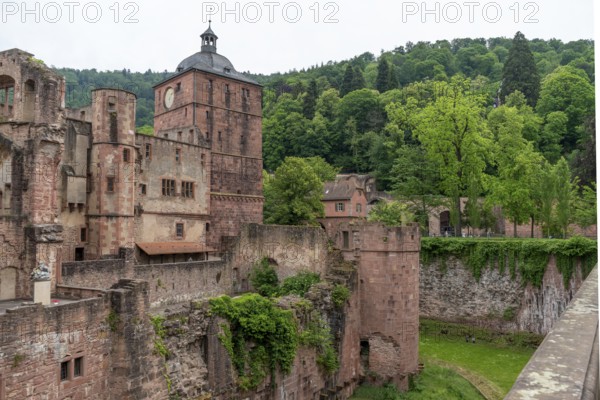 Detail of the Heidelberg castle in Germany