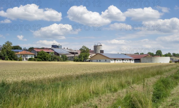 Agricultural scenery around a small village in Hohenlohe, an area in southern Germany at summer time
