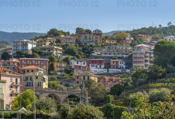 Scenery around Moneglia, a comune (municipality) in the Metropolitan City of Genoa in the Italian region Liguria