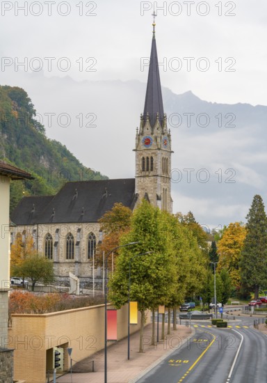 Impression of Vaduz, the capital city of Liechtenstein at autumn time