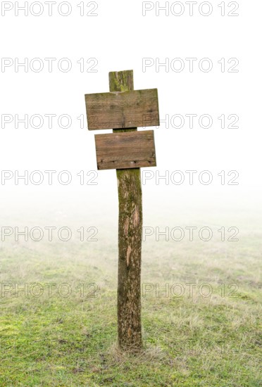 Wooden post near Olpenitz in Schleswig-Holstein, Germany, gradient isolated in white back
