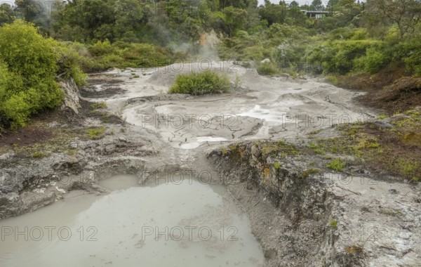 Scenery around the Geothermal Valley Te Puia in New Zealand