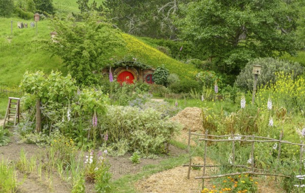 Idyllic scenery at The Shire represented by a region near Matama at the North Island of New Zealand