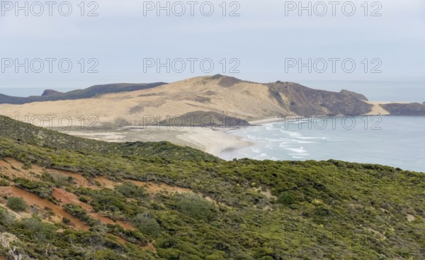 Te Werahi Beach in New Zealand