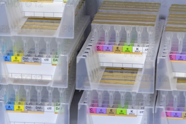 Closeup shot of medical sample racks