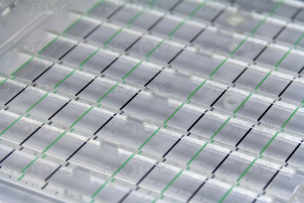 Full frame closeup shot of a medical sample rack