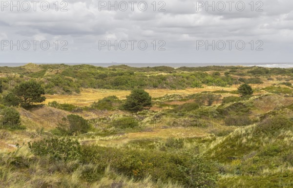 Impression of Spiekeroog, one of the East Frisian Islands at the North Sea coast of Germany
