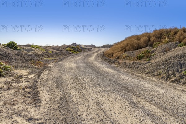 Off-road street at a bumpy scenery in sunny ambiance