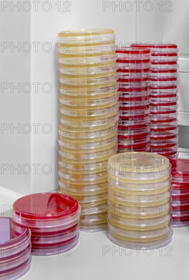 Lots of stacked petri dishes filled with colorful agar growth medium