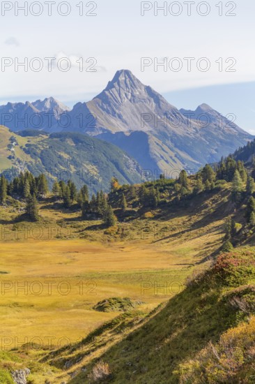 Alpine scenery near Warth in Austria at summer time