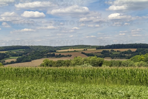 Idyllic rural scenery around the Jagst Valley in Hohenlohe, a district in Southern Germany at summer time