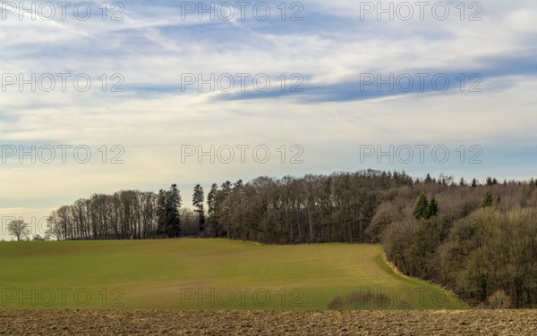 Agricultural scenery at the edge of a forest in Southern Germany at early spring time