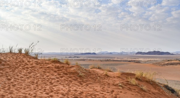 Sandy savanna scenery seen in Namibia