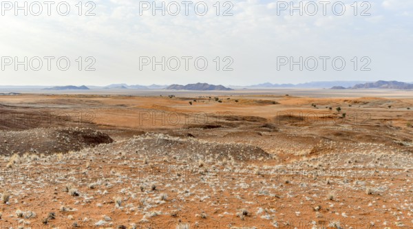 Sandy savanna scenery seen in Namibia
