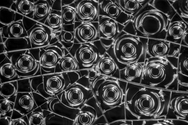 Microscopic detail of some dried egg white in dark back