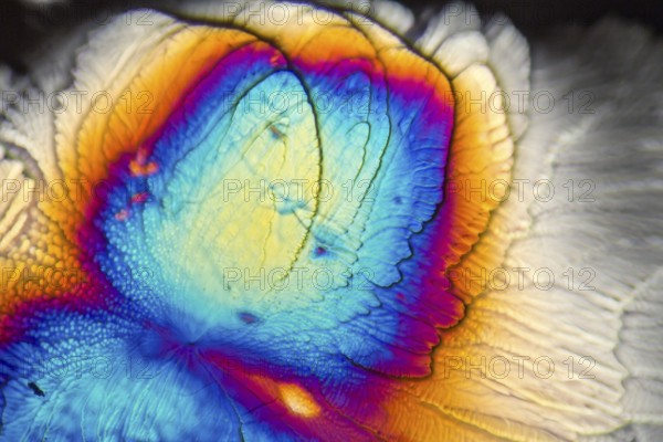 Microscopic Galactose crystals illuminated with polarized light