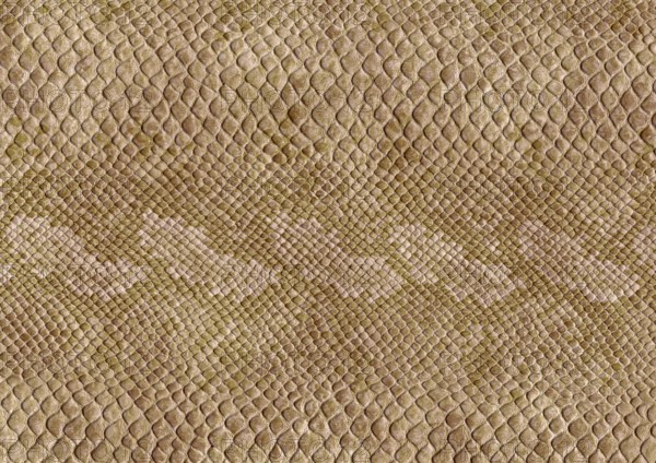 Full frame scaled abstract brown patterned reptile skin surface
