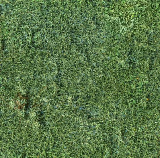 Full frame abstract frizzly green back