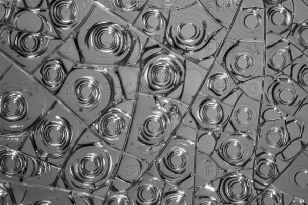 Microscopic detail of some dried egg white in grey back