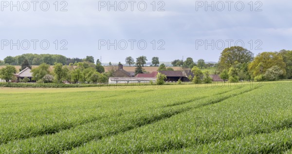 Scenery around a small rural village in Southern Germany at spring time