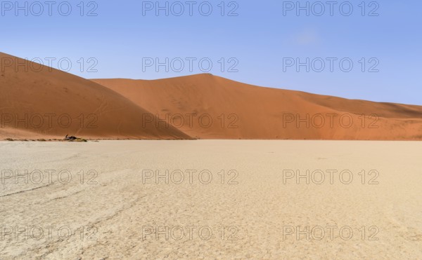 Namib desert scenery around Deadvlei in the Sossusvlei area in Namibia