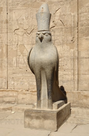 Sunny illuminated scenery including a statue of Horus at the ancient Temple of Edfu in Egypt (Africa)