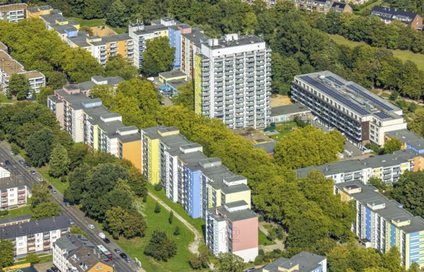 Aerial view, high-rise estate terraced houses Fürstenberger Straße, coloured house facades, Hassels, Düsseldorf, Ruhr area, North Rhine-Westphalia, Germany, DE, Europe, property tax, high-rise buildings, real estate, aerial view, aerial photography, aerial photography, multi-family houses, apartment buildings, terraced houses, overview, bird's-eye view, housing estate, housing and living, residential area, residential buildings, quality of living, residential quarter, housing estate, residential district, birds-eyes view, overview