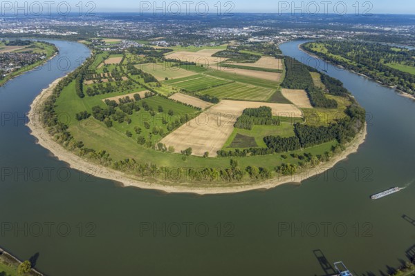 Aerial view, nature reserve Himmelgeister Rheinbogen, meadows and fields and green trees, Himmelgeist, Düsseldorf, Ruhr area, North Rhine-Westphalia, Germany, DE, Europe, LSG landscape conservation area, landscape conservation area, aerial photograph, aerial photography, aerial photography, overview, bird's-eye view, birds-eyes view, overview
