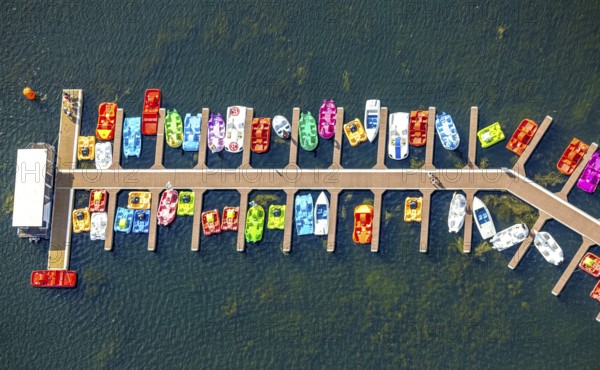 Aerial view, colourful pedal boats at a jetty on the Unterbacher See at the campsite north, Unterbach, Düsseldorf, Ruhr area, North Rhine-Westphalia, Germany, boats, DE, Europe, aerial view, aerial photography, aerial photography, overview, bird's-eye view, overview