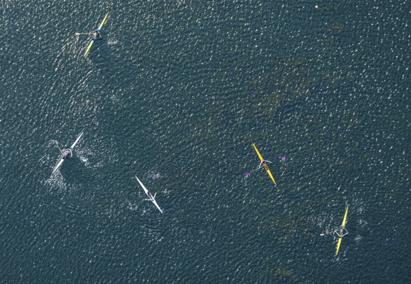 Aerial photo, canoeist on the Unterbacher See, shapes and colours, Unterbach, Düsseldorf, Ruhr area, North Rhine-Westphalia, Germany, boats, DE, Europe, canoe, aerial photography, aerial photography, aerial photography, sports, overview, bird's eye view, birds-eyes view, overview, rowing