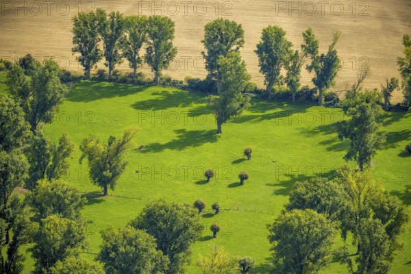 Aerial view, nature reserve Himmelgeister Rheinbogen, meadows and fields and green trees, Himmelgeist, Düsseldorf, Ruhr area, North Rhine-Westphalia, Germany, DE, Europe, LSG landscape conservation area, landscape conservation area, aerial photograph, aerial photography, aerial photography, overview, bird's-eye view, birds-eyes view, overview