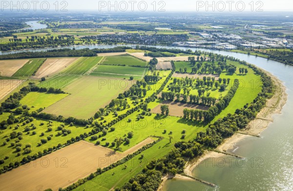 Aerial view, nature reserve Himmelgeister Rheinbogen, meadows and fields and green trees, Himmelgeist, Düsseldorf, Ruhr area, North Rhine-Westphalia, Germany, DE, Europe, LSG landscape conservation area, landscape conservation area, aerial photograph, aerial photography, aerial photography, overview, bird's-eye view, birds-eyes view, overview