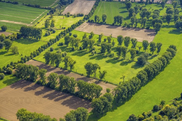 Aerial view, nature reserve Himmelgeister Rheinbogen, meadows and fields and green trees, Himmelgeist, Düsseldorf, Ruhr area, North Rhine-Westphalia, Germany, DE, Europe, LSG landscape conservation area, landscape conservation area, aerial photograph, aerial photography, aerial photography, overview, bird's-eye view, birds-eyes view, overview
