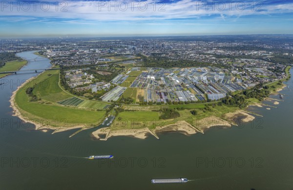 Aerial view, Rhine bend and district Volmerswerth, horticultural farms and agricultural use in the district Volmerswerth, shapes and colours with graphical representation, river Rhine and inland navigation, distant view and blue sky with clouds, Volmerswerth, Düsseldorf, Ruhr area, North Rhine-Westphalia, Germany, DE, Europe, river, aerial view, aerial photography, aerial photography, navigation, overview, bird's-eye view, overview