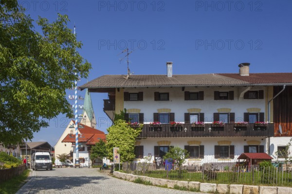 Parish Church of the Assumption of the Virgin Mary with maypole and old houses on the village square, Törwang, Samerberg, Chiemgau, Upper Bavaria, Bavaria, Germany