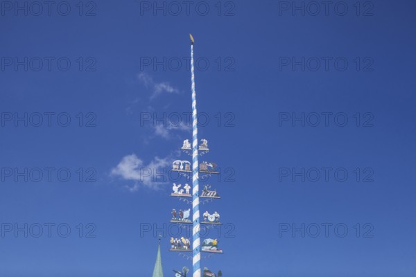 Maypole on the village square, Törwang, Samerberg, Chiemgau, Upper Bavaria, Bavaria, Germany
