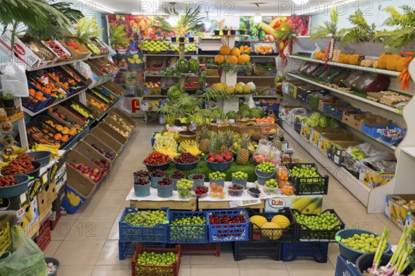 A well-stocked shop full of colourful fruit and vegetables displayed on shelves and tables, Gyumri, Gyumri, Gyumri, Shirak Province, Armenia