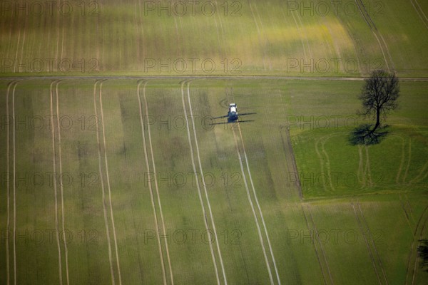 Aerial view, slurry tractor on a field during slurry spraying, emission, in Lichtenfels in Hesse. Lichtenfels, North Hesse, Hesse, Germany, Lichtenfels, DEU, Europe, birds-eyes view, aerial view, aerial photography, aerial photography, overview, overview, bird's eye view
