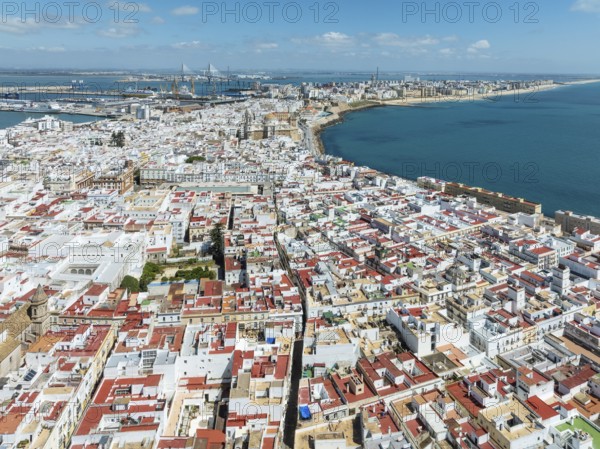 The town of Cádiz with the old quarter in the foreground. Aerial view. Drone shot. Cádiz province, Andalusia, Spain